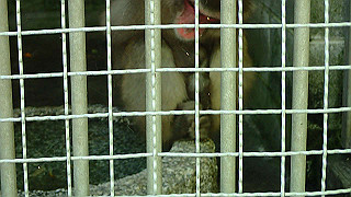 p4302867_thumb.jpg