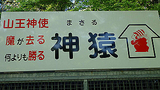 p4302869_thumb.jpg