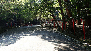p4302871_thumb.jpg