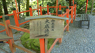 p4302872_thumb.jpg