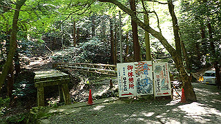 p4302875_thumb.jpg