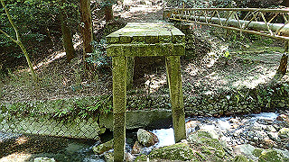 p4302878_thumb.jpg