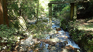 p4302879_thumb.jpg