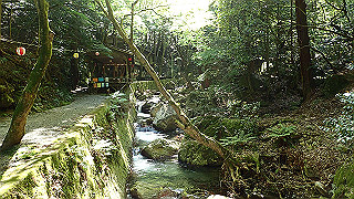 p4302880_thumb.jpg