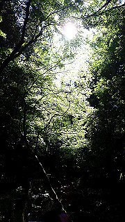 p4302881_thumb.jpg
