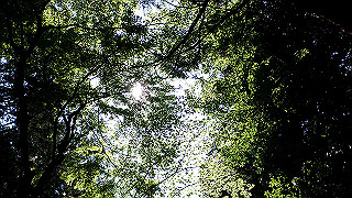 p4302882_thumb.jpg