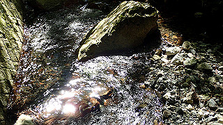 p4302883_thumb.jpg