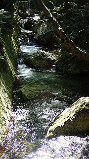 p4302884_thumb.jpg