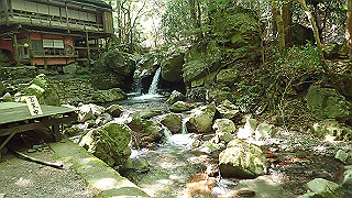 p4302889_thumb.jpg