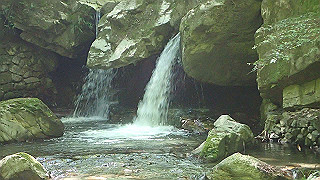 p4302890_thumb.jpg