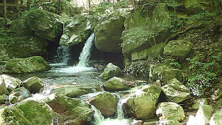p4302891_thumb.jpg