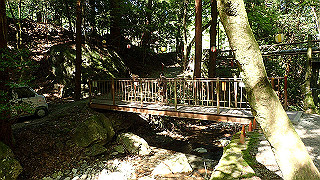 p4302894_thumb.jpg