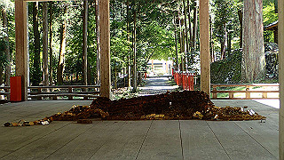 p4302896_thumb.jpg