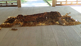 p4302897_thumb.jpg