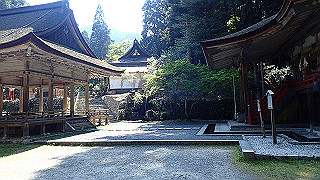 p4302898_thumb.jpg