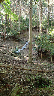 p4302900_thumb.jpg