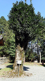 p4302903_thumb.jpg