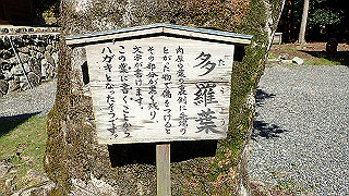 p4302904_thumb.jpg