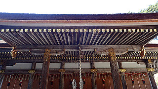 p4302908_thumb.jpg