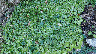 p4302912_thumb.jpg