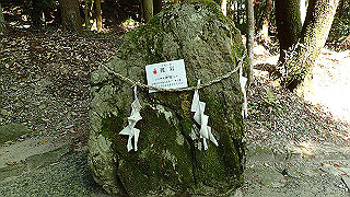 p4302916_thumb.jpg