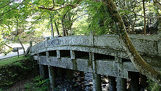 p4302917_thumb.jpg