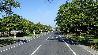 p4302919_thumb.jpg