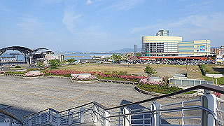p4302926_thumb.jpg