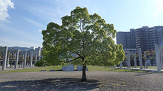 p4302932_thumb.jpg