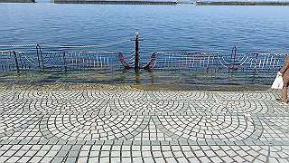 p4302934_thumb.jpg