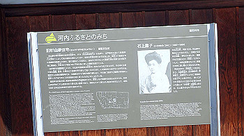 p5022704_thumb.jpg