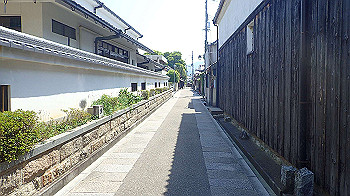 p5022705_thumb.jpg