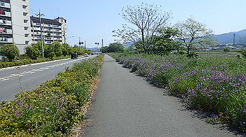 p5022810_thumb.jpg
