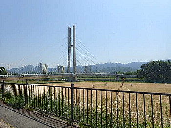 p5022811_thumb.jpg