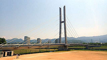 p5022812_thumb.jpg