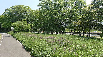 p5022816_thumb.jpg