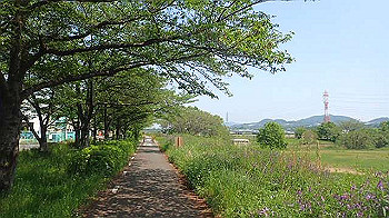 p5022817_thumb.jpg