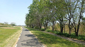 p5022820_thumb.jpg