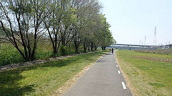 p5022829_thumb.jpg