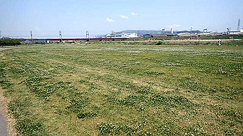 p5022919_thumb.jpg