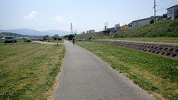 p5022920_thumb.jpg