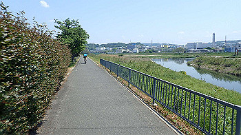 p5022930_thumb.jpg