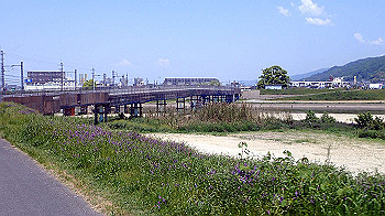 p5022939_thumb.jpg