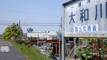 p5022946_thumb.jpg