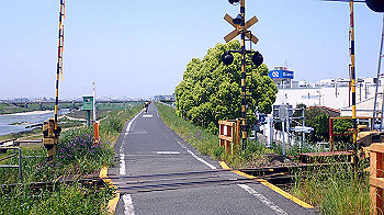 p5022947_thumb.jpg