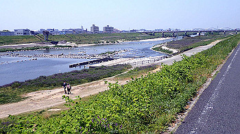 p5022950_thumb.jpg