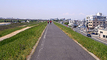 p5022952_thumb.jpg