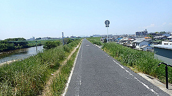 p5022959_thumb.jpg