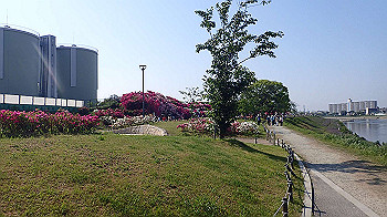p5022968_thumb.jpg
