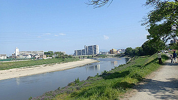 p5022971_thumb.jpg